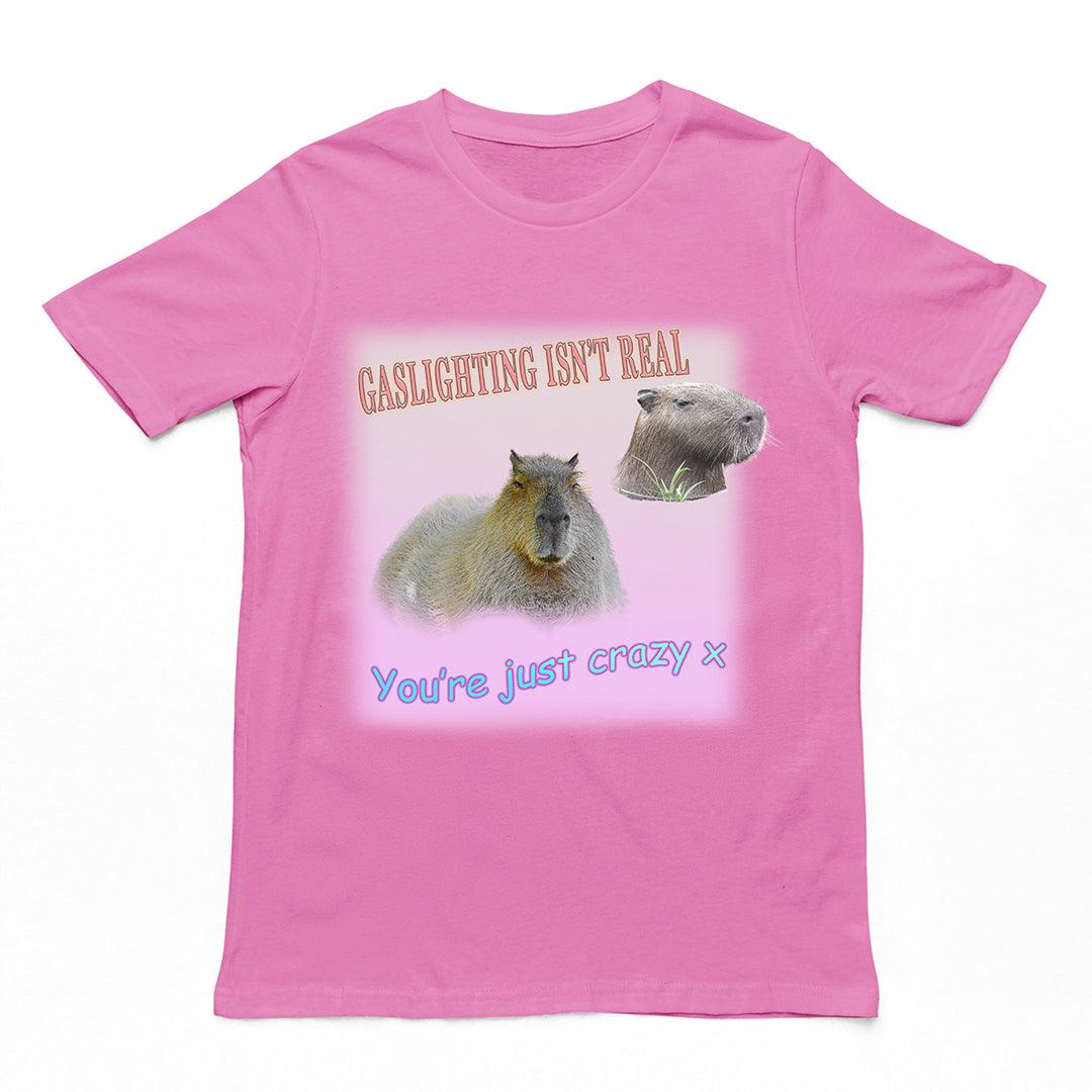 Gaslighting isn't Real t-shirt - Orbital Clothing