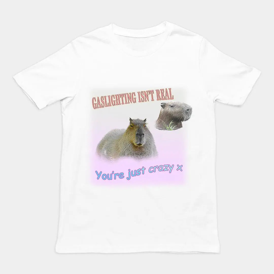 Gaslighting isn't Real t-shirt - Orbital Clothing