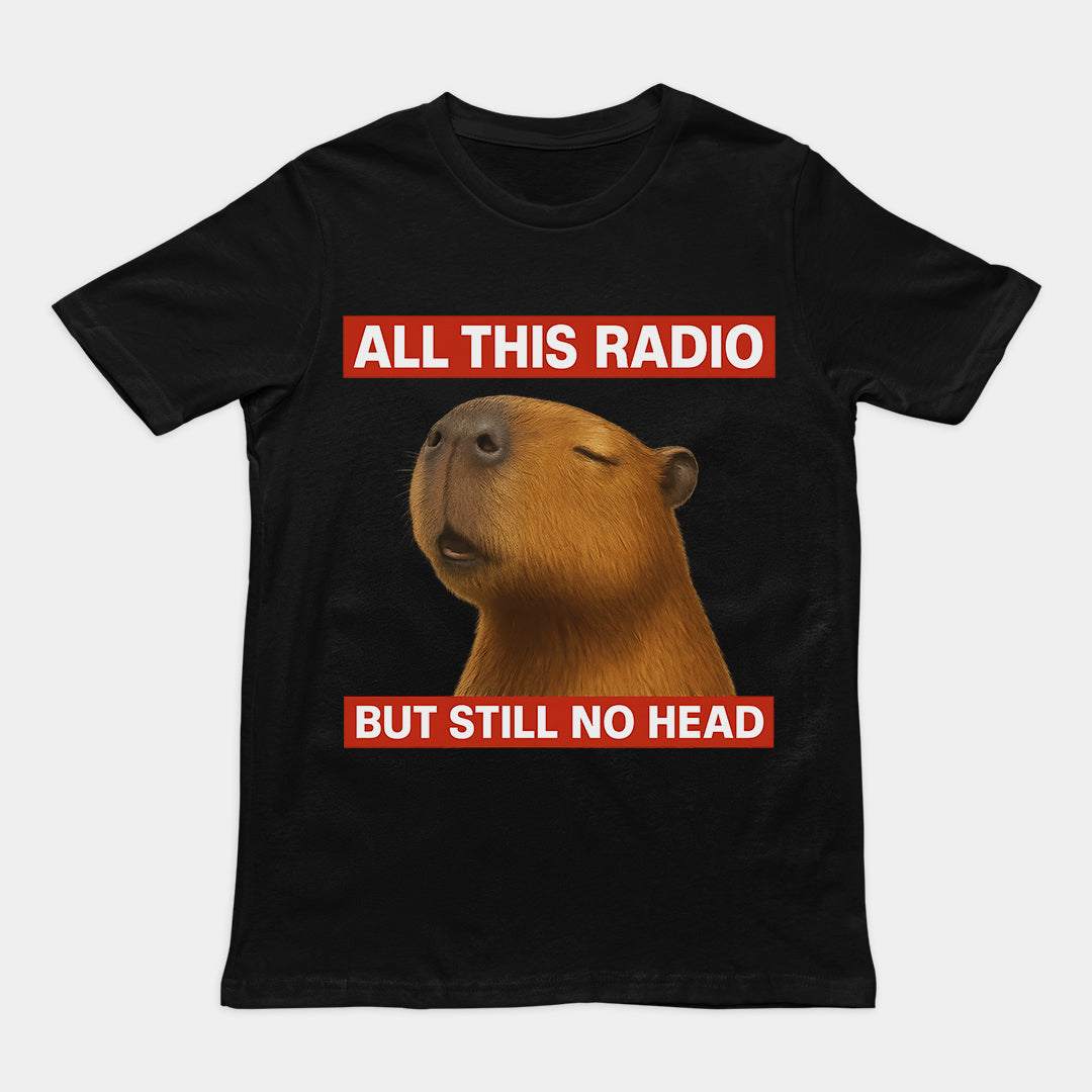 All this radio but still no head T-Shirt