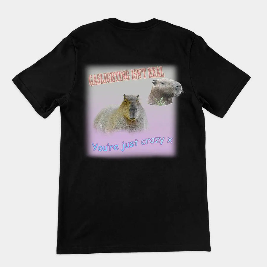 Gaslighting isn't real t-shirt (backprint) - Orbital Clothing