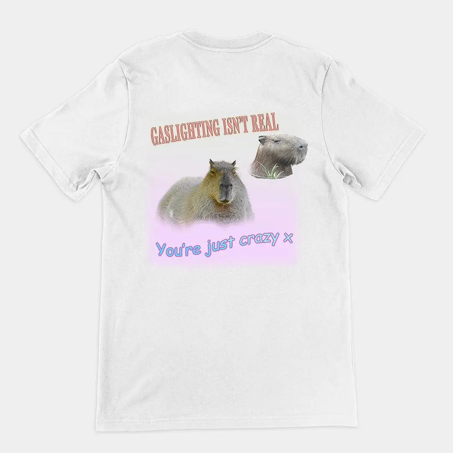 Gaslighting isn't real t-shirt (backprint) - Orbital Clothing