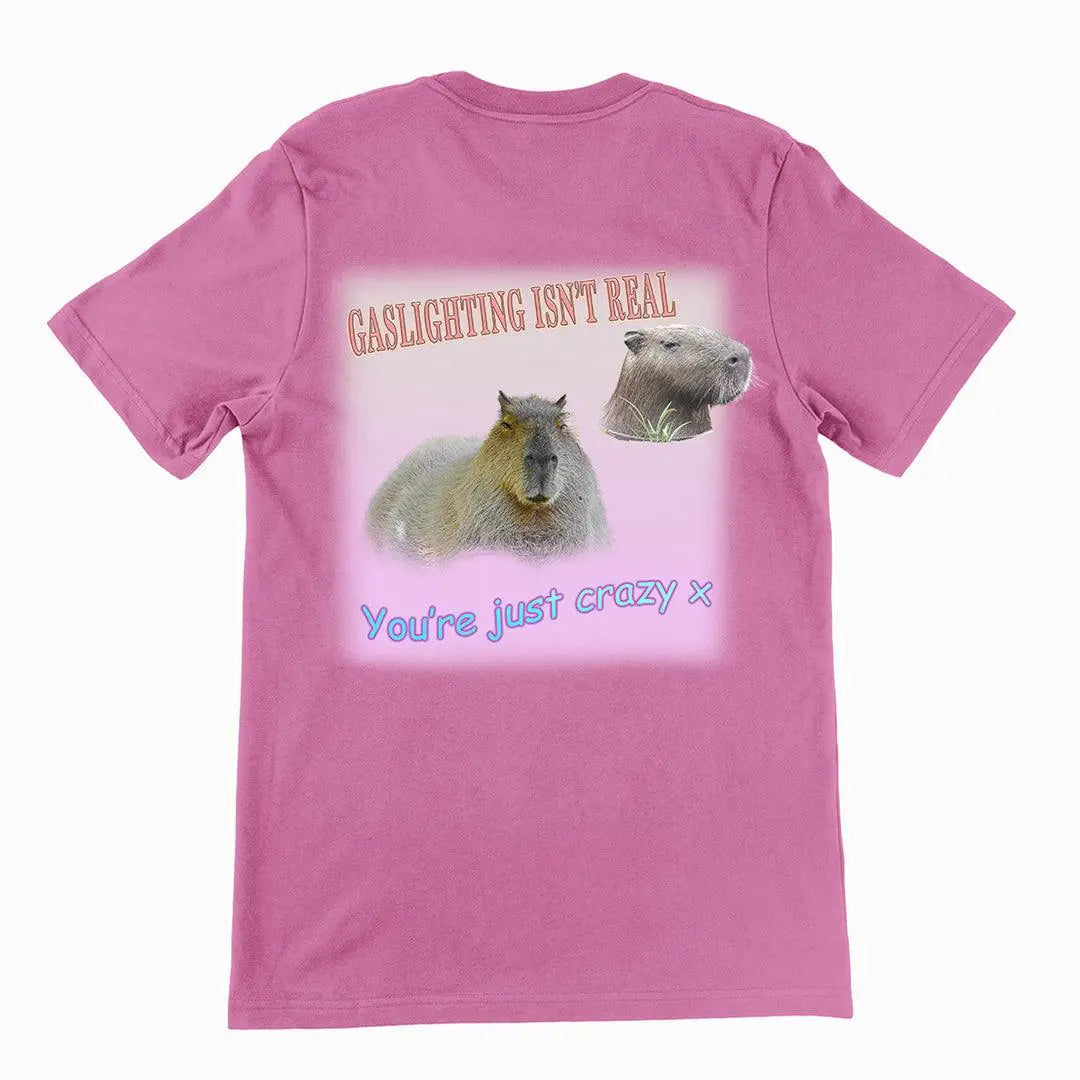 Gaslighting isn't real t-shirt (backprint) - Orbital Clothing