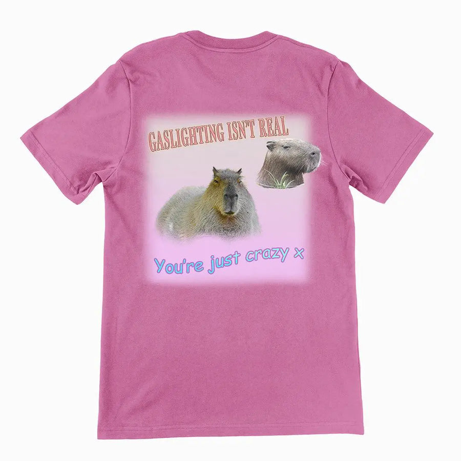 Gaslighting isn't real t-shirt (backprint) - Orbital Clothing