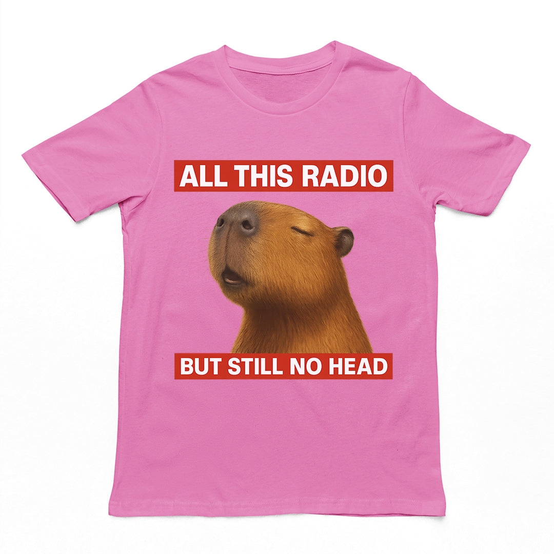 All this radio but still no head T-Shirt
