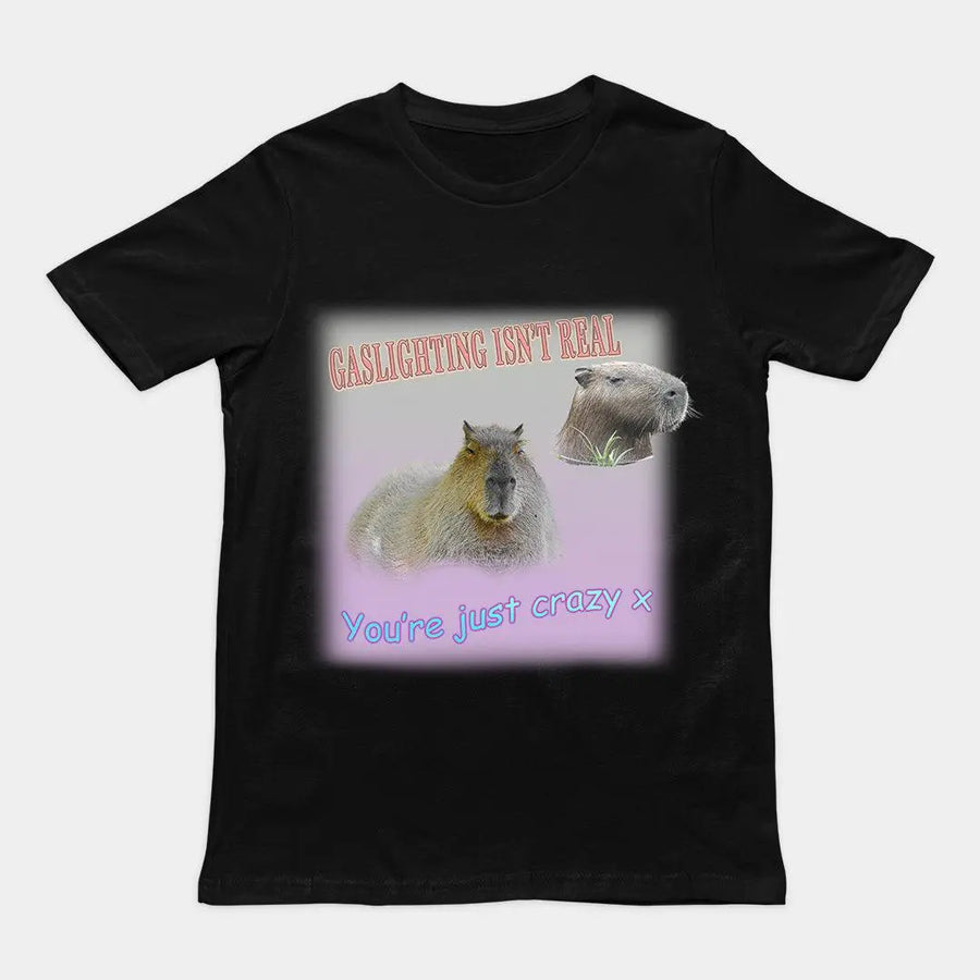 Gaslighting isn't Real t-shirt - Orbital Clothing
