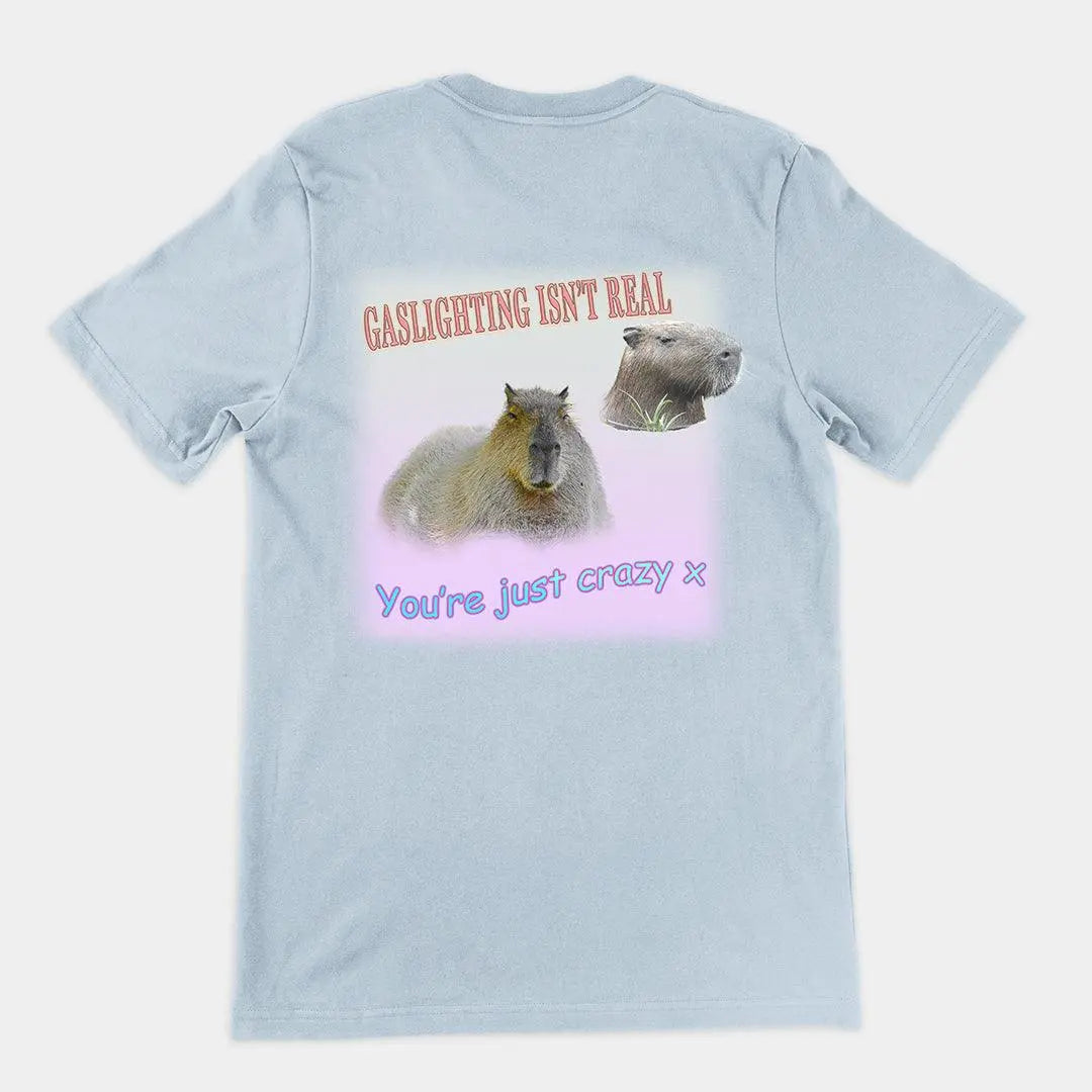 Gaslighting isn't real t-shirt (backprint) - Orbital Clothing