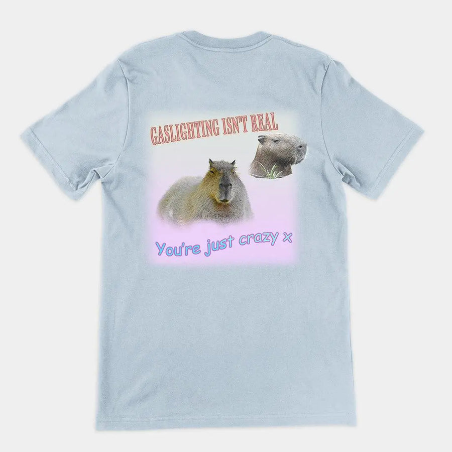 Gaslighting isn't real t-shirt (backprint) - Orbital Clothing