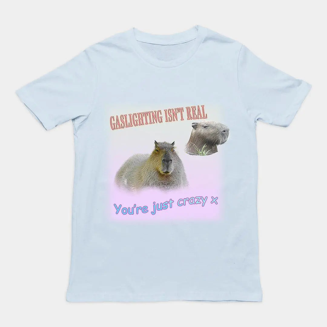 Gaslighting isn't Real t-shirt - Orbital Clothing