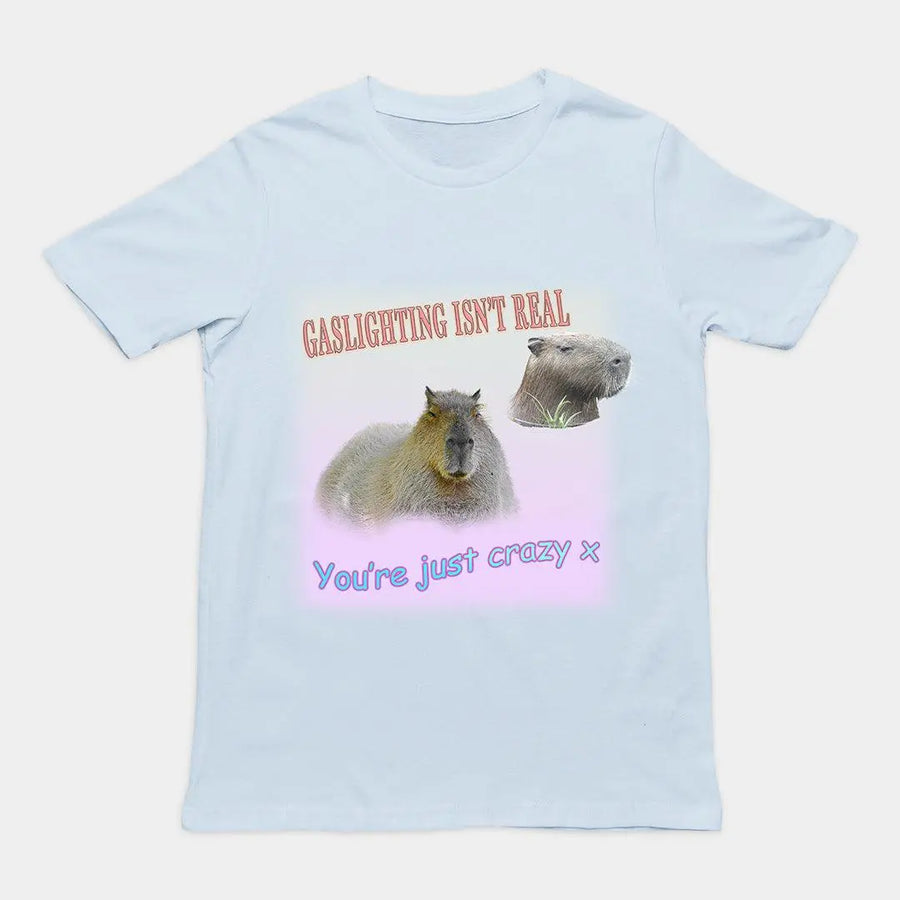 Gaslighting isn't Real t-shirt - Orbital Clothing
