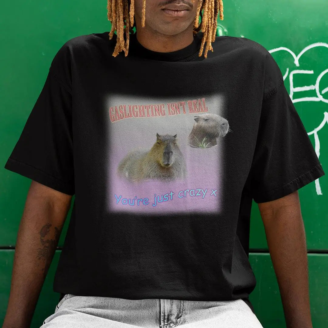 Gaslighting isn't Real t-shirt - Orbital Clothing