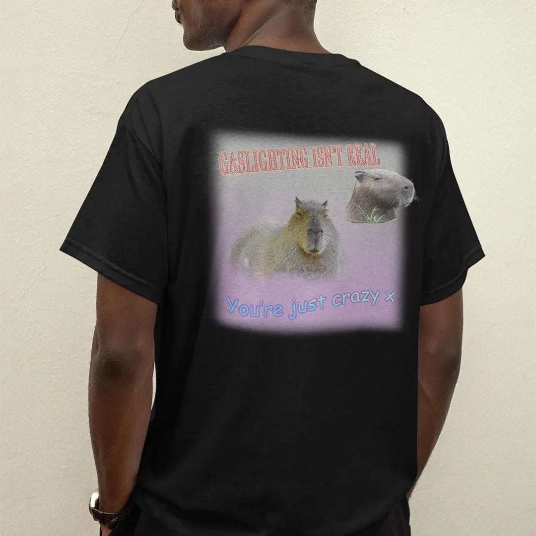 Gaslighting isn't real t-shirt (backprint) - Orbital Clothing