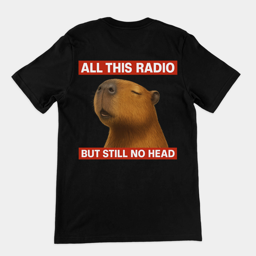 All this radio but still no head T-Shirt (backprint)