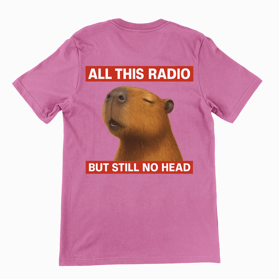All this radio but still no head T-Shirt (backprint)