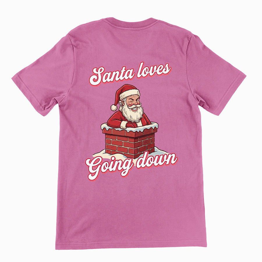 Santa Loves Going Down T-Shirt (backprint) Orbital Clothing