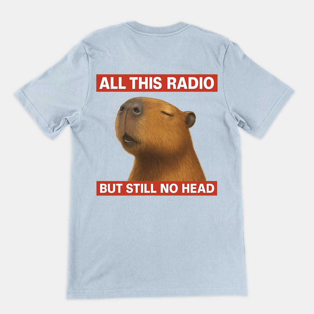 All this radio but still no head T-Shirt (backprint)