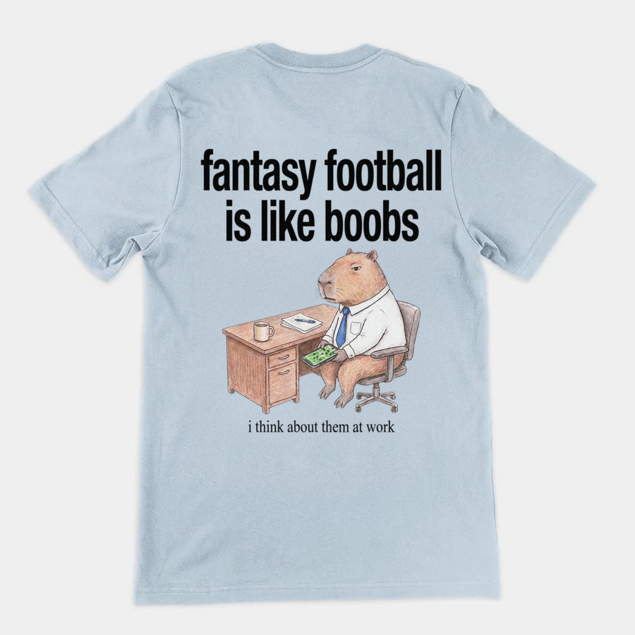 Fantasy Football Is Like Boobs T-Shirt (backprint) Orbital Clothing
