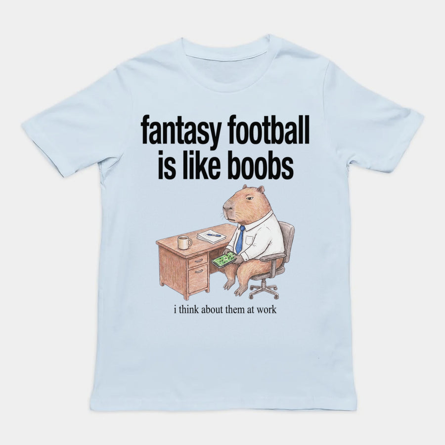 Fantasy Football Is Like Boobs T-Shirt Orbital Clothing
