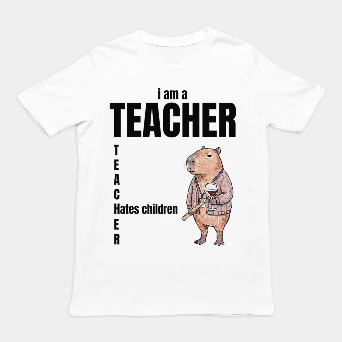 I Am A Teacher (Hates Children) T-Shirt Orbital Clothing