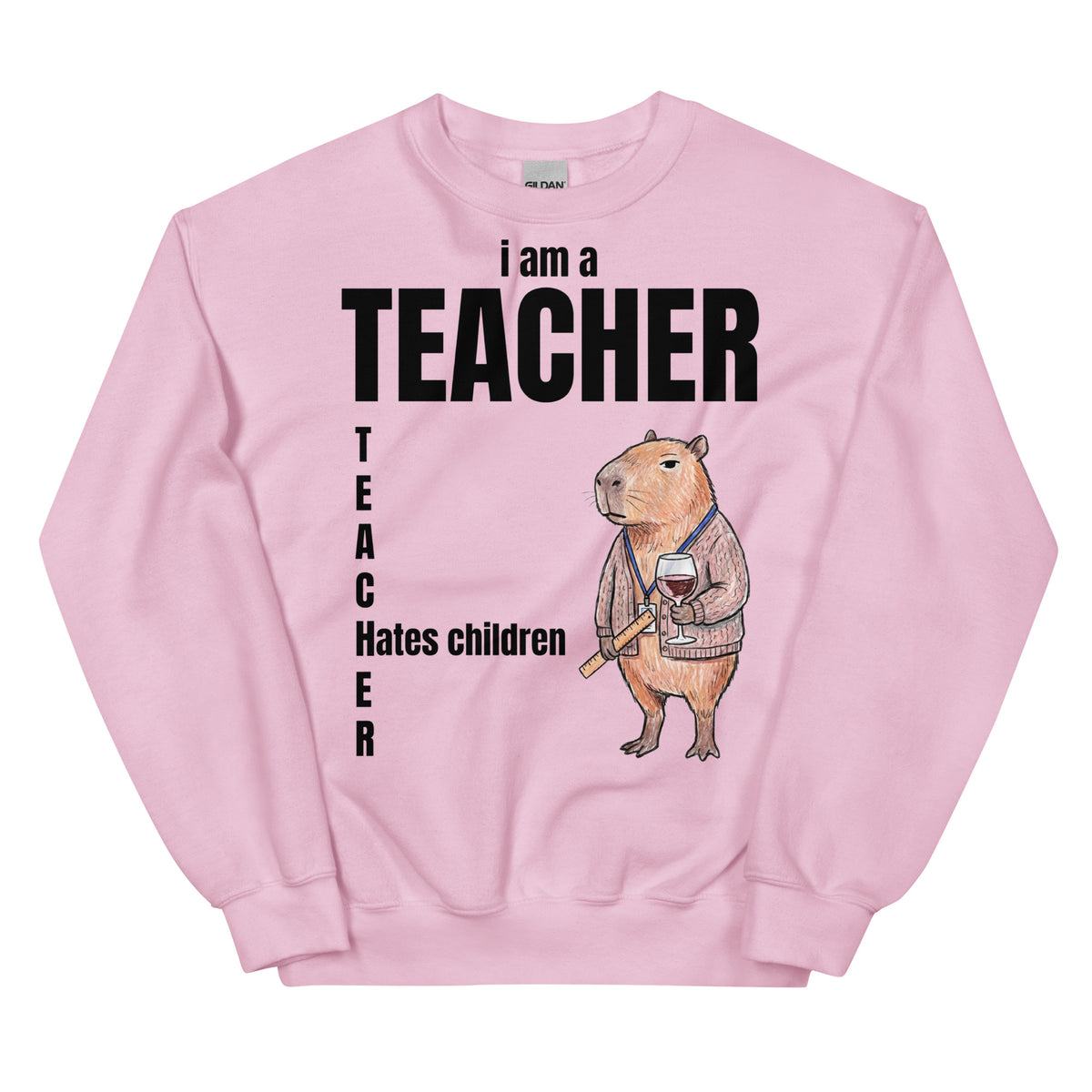 I Am A Teacher (Hates Children) Sweatshirt Orbital Clothing