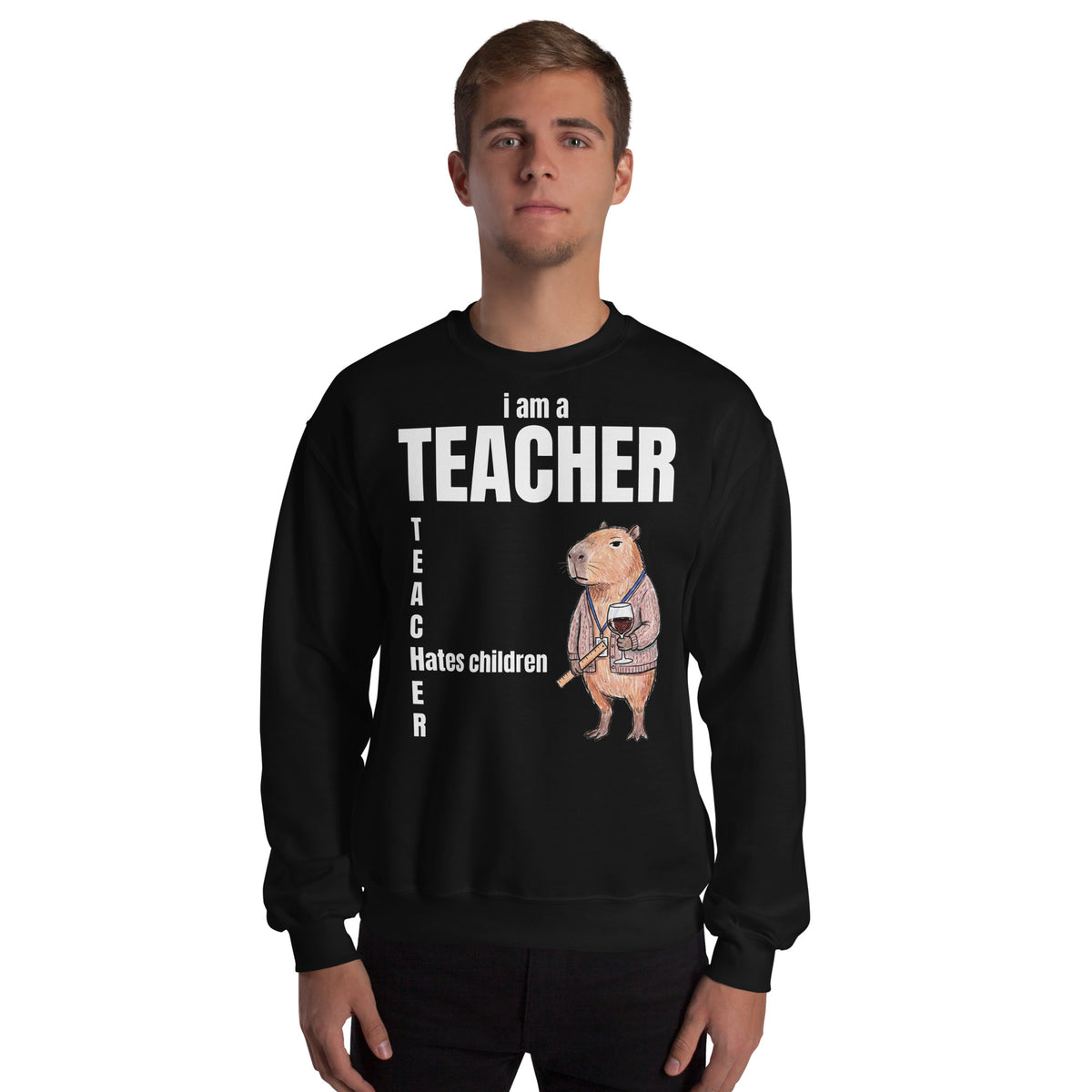 I Am A Teacher (Hates Children) Sweatshirt Orbital Clothing