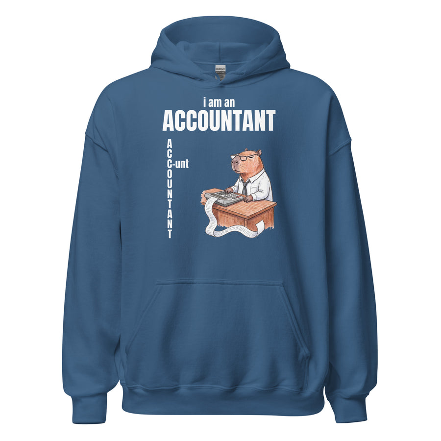 I Am An Accountant (C-unt) Hoodie Orbital Clothing