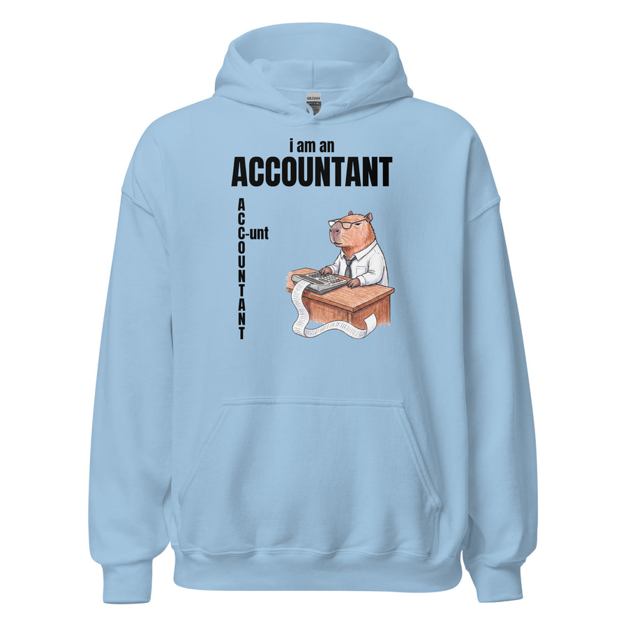 I Am An Accountant (C-unt) Hoodie Orbital Clothing