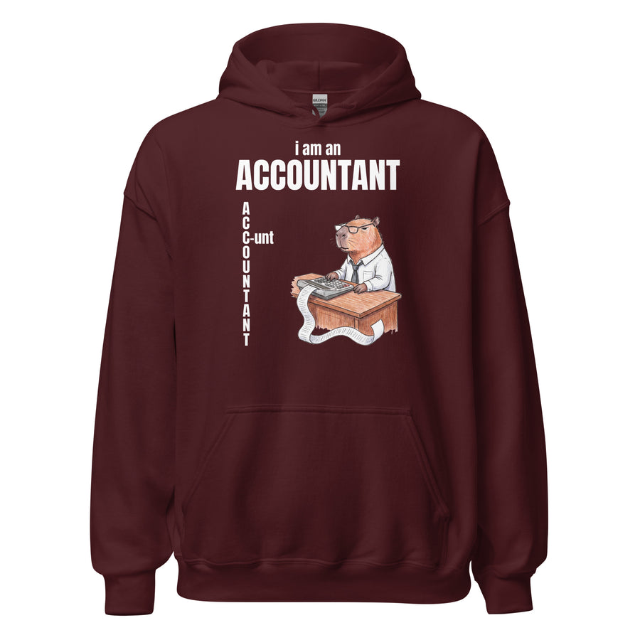 I Am An Accountant (C-unt) Hoodie Orbital Clothing