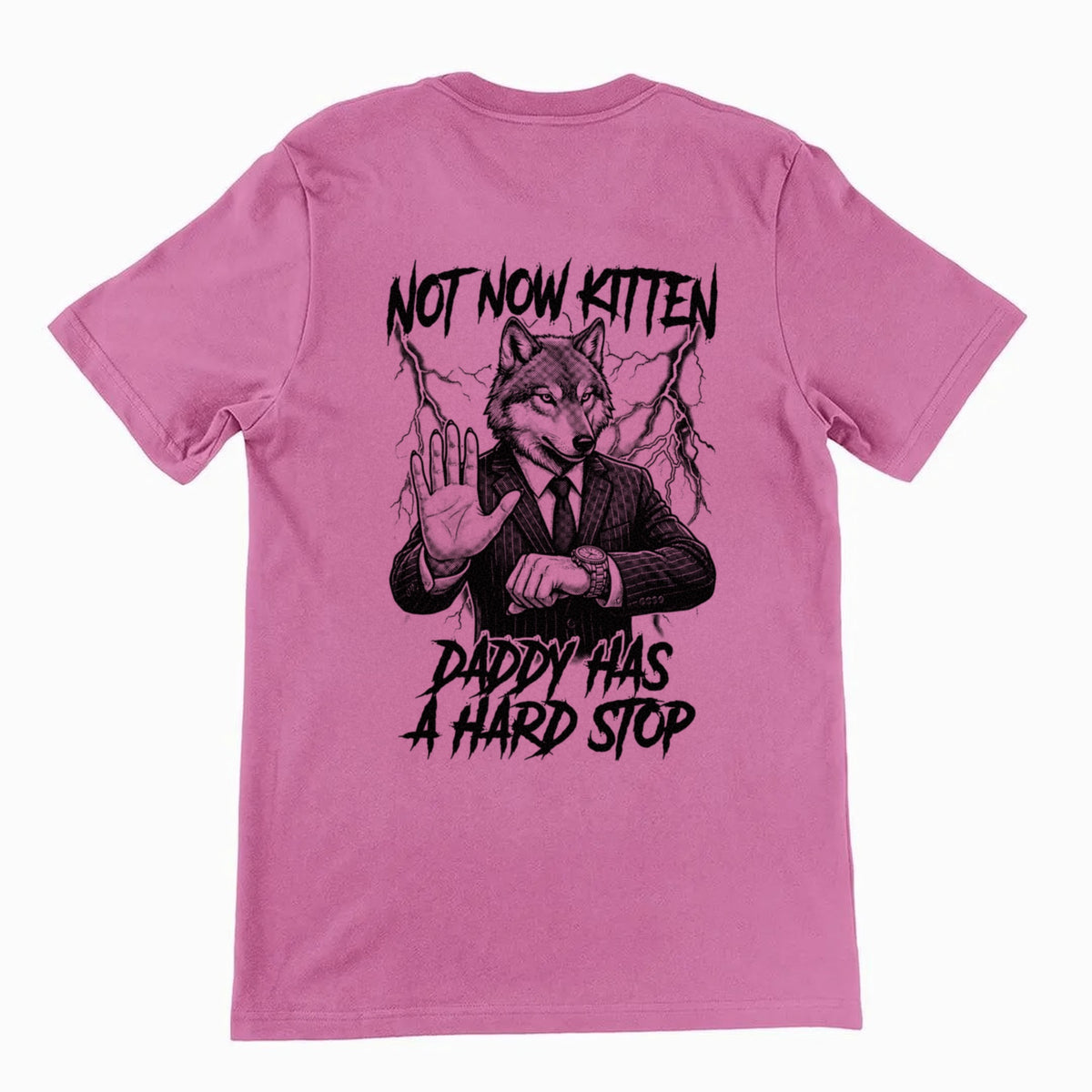 Not Now Kitten Daddy Has A Hard Stop T-Shirt (backprint) Orbital Clothing