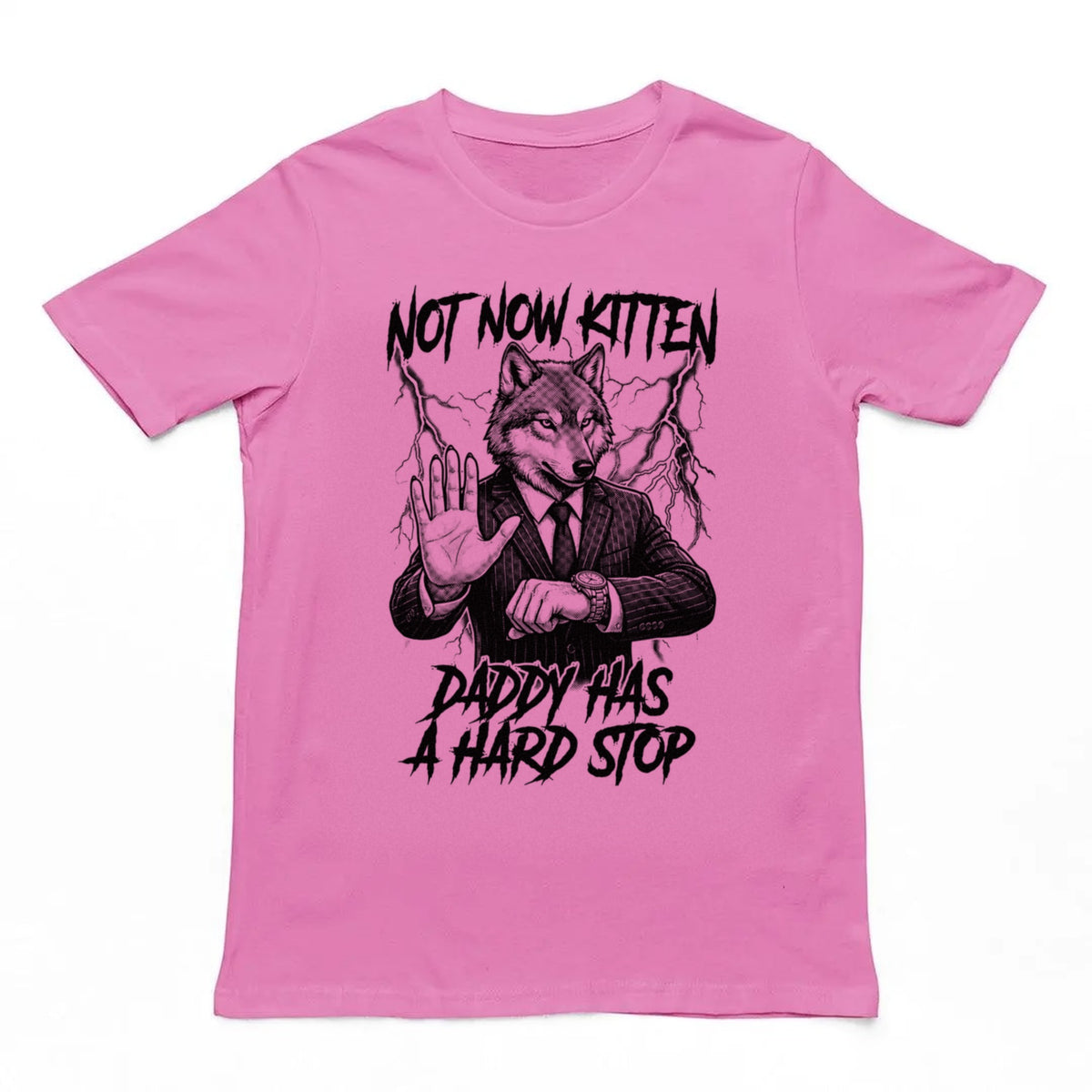 Not Now Kitten Daddy Has A Hard Stop T-Shirt Orbital Clothing