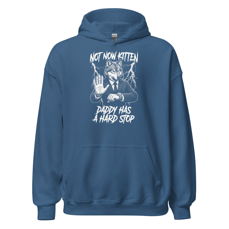 Not Now Kitten Daddy Has A Hard Stop Hoodie Orbital Clothing