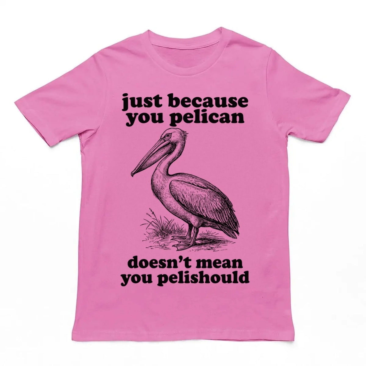 Just Because You Pelican Doesn't Mean You Pelishould T-Shirt Orbital Clothing
