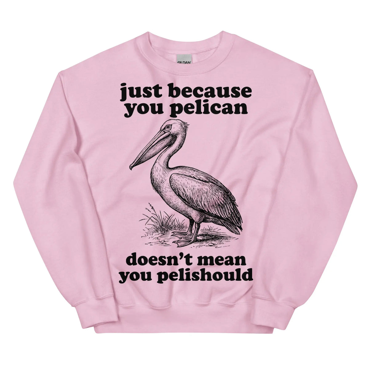 Just Because You Pelican Doesn't Mean You Pelishould Sweatshirt Orbital Clothing