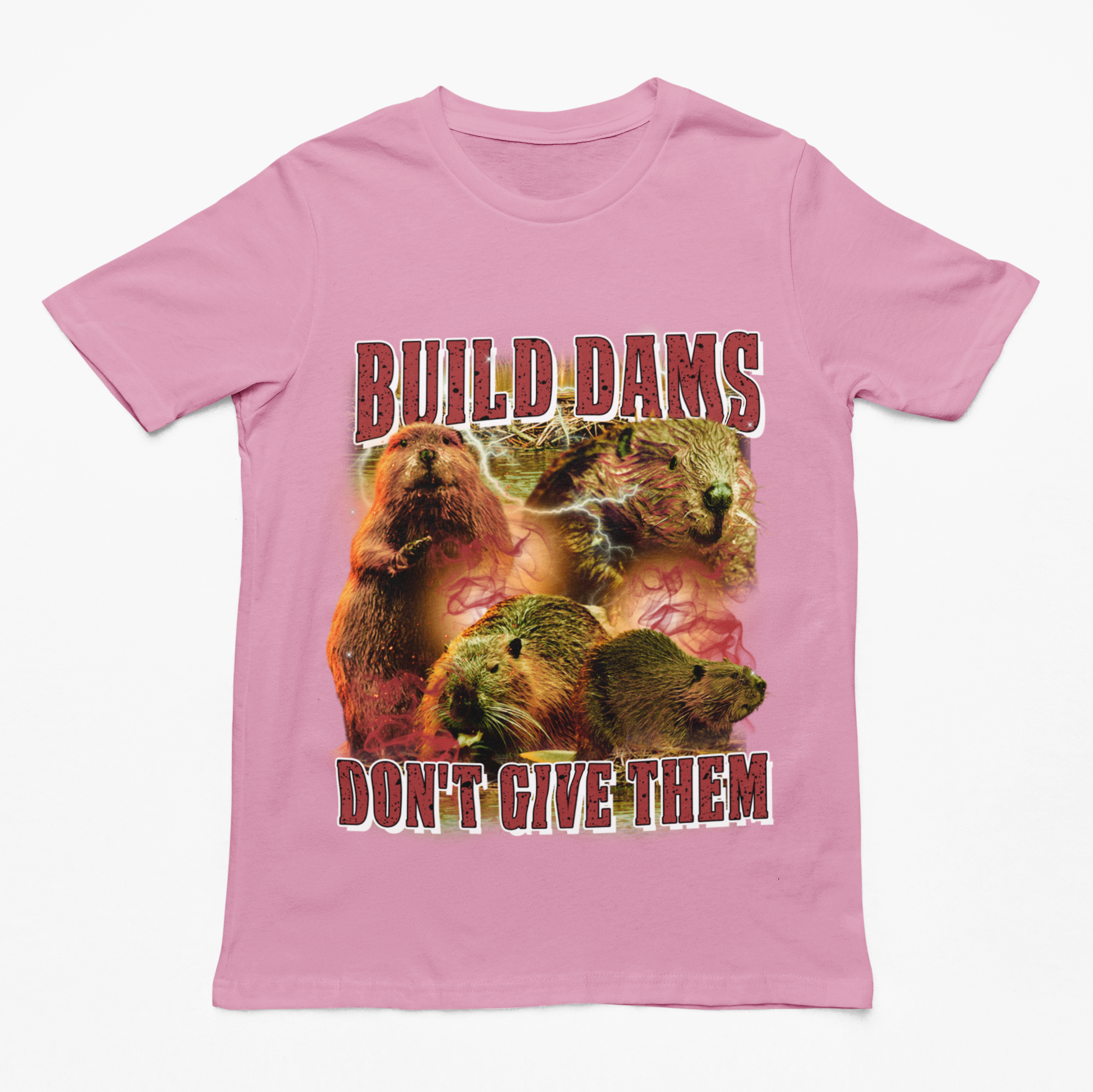 Build Dams Don't Give Them t-shirt