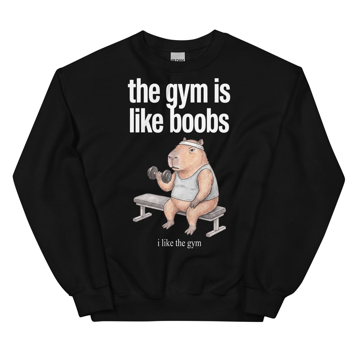 The Gym Is Like Boobs Sweatshirt Orbital Clothing