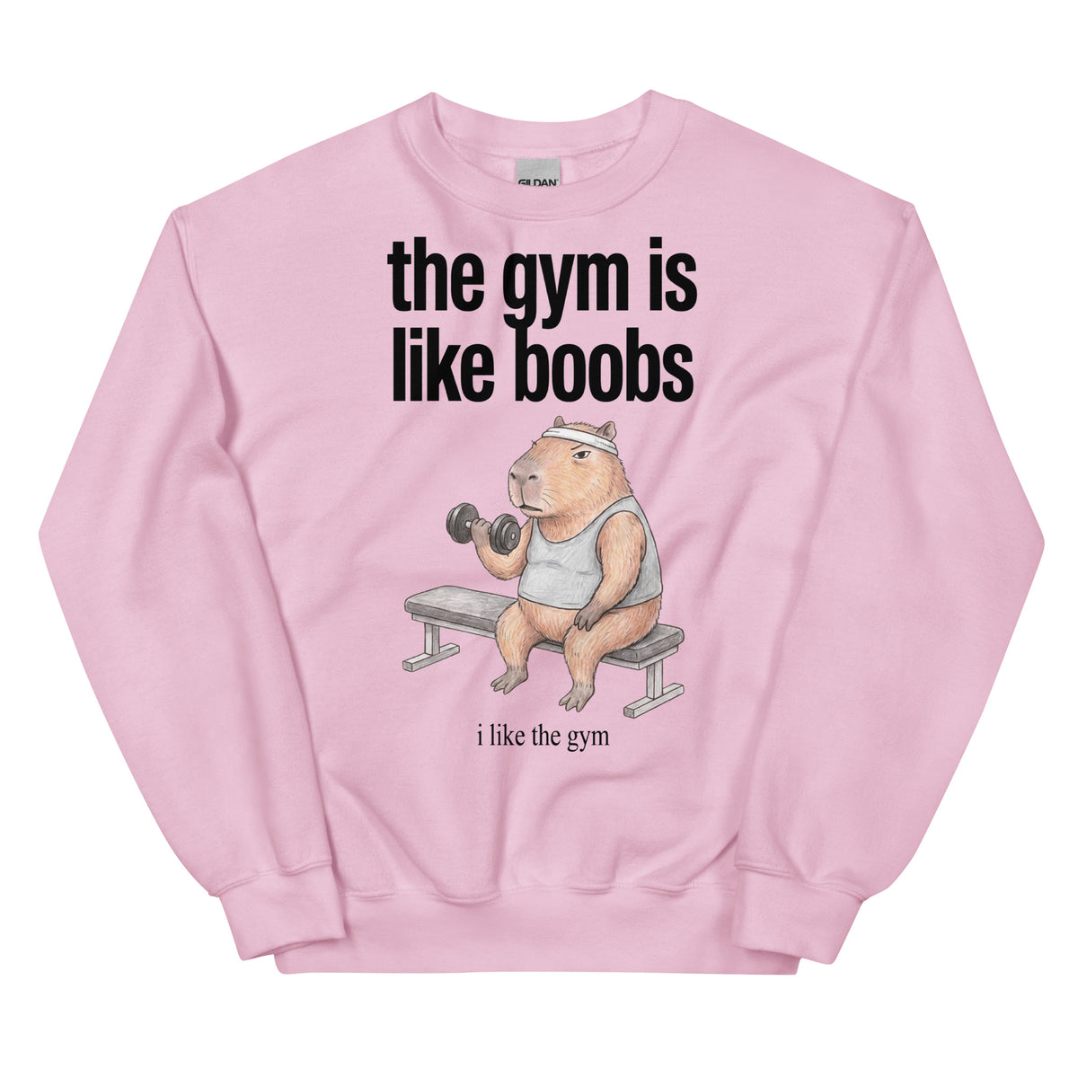 The Gym Is Like Boobs Sweatshirt Orbital Clothing