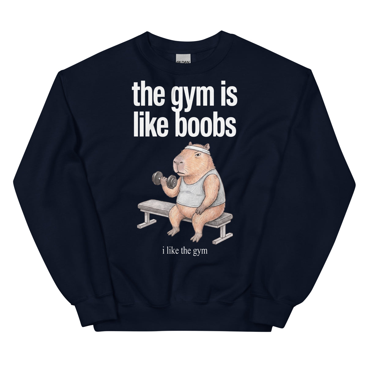 The Gym Is Like Boobs Sweatshirt Orbital Clothing