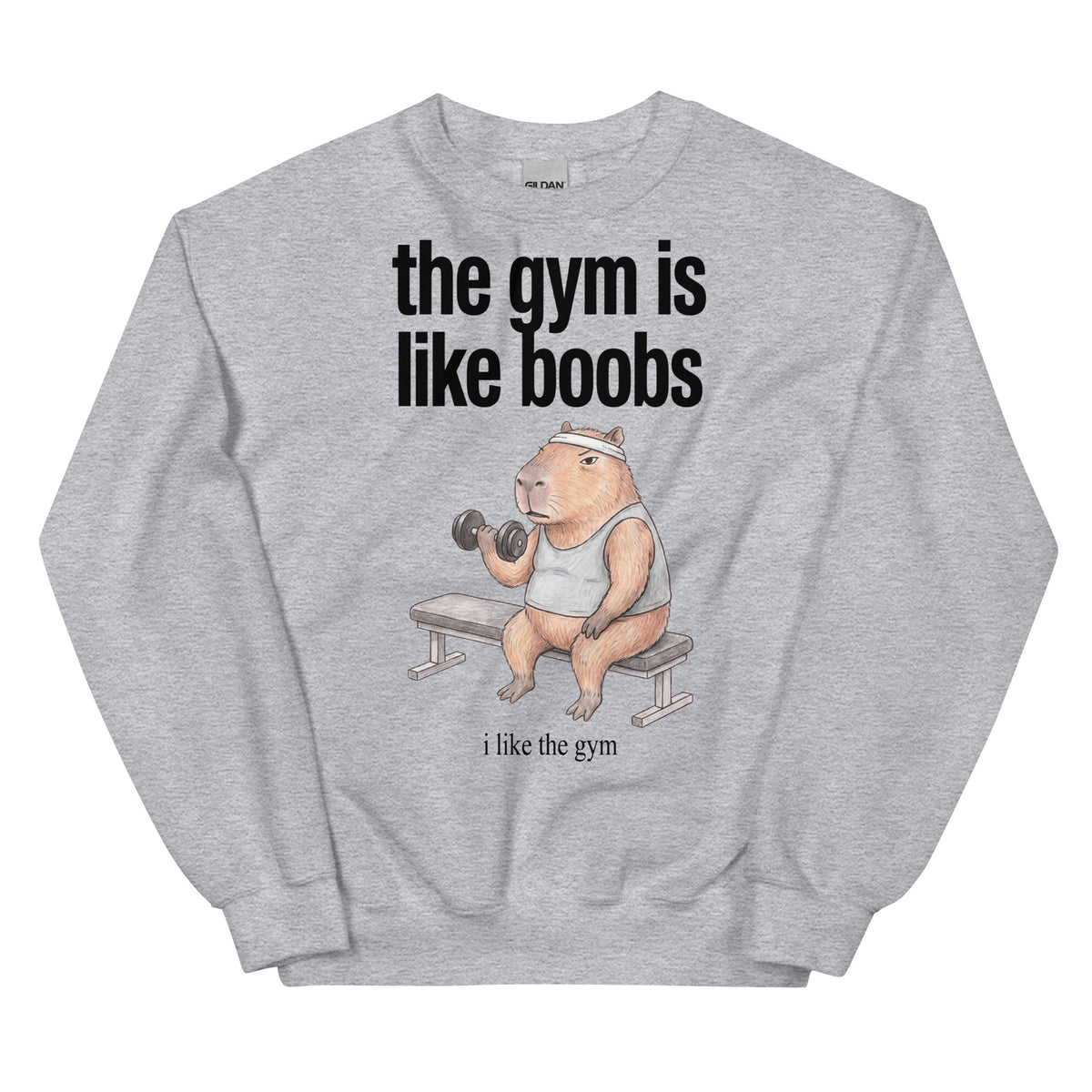 The Gym Is Like Boobs Sweatshirt Orbital Clothing