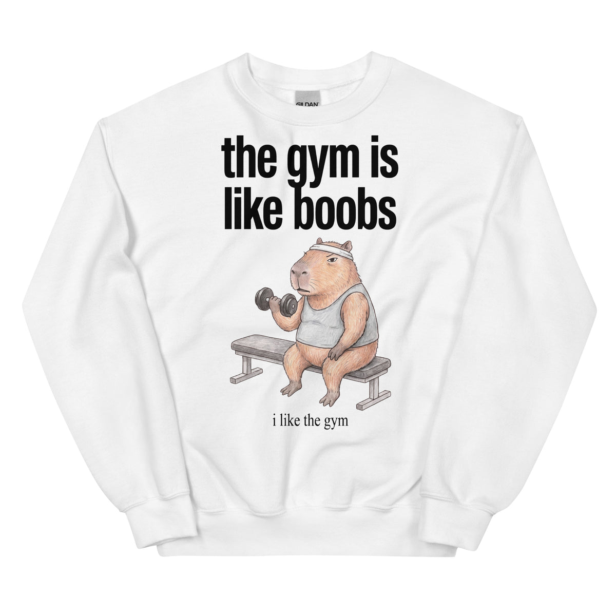 The Gym Is Like Boobs Sweatshirt Orbital Clothing