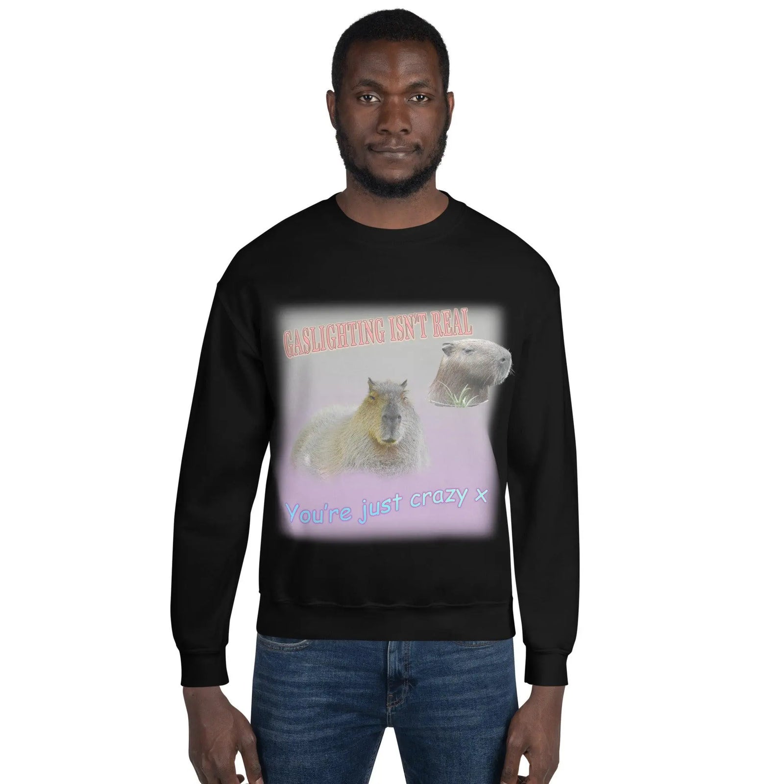Gaslighting Isn't Real Sweatshirt - Orbital Clothing