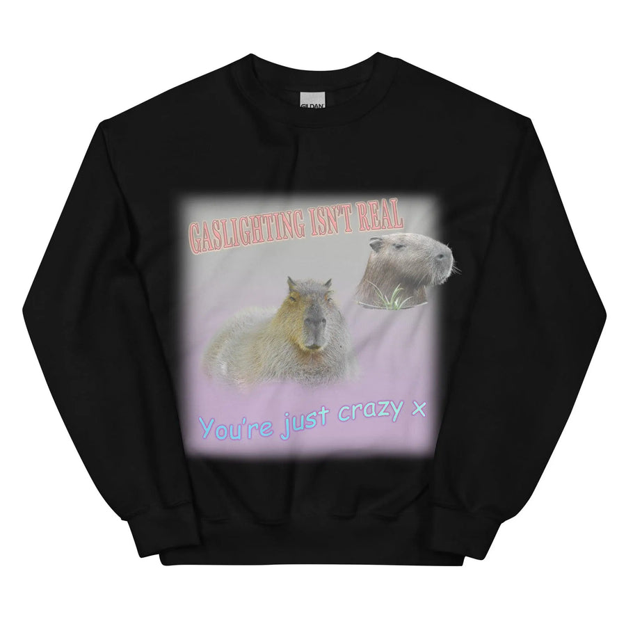 Gaslighting Isn't Real Sweatshirt - Orbital Clothing