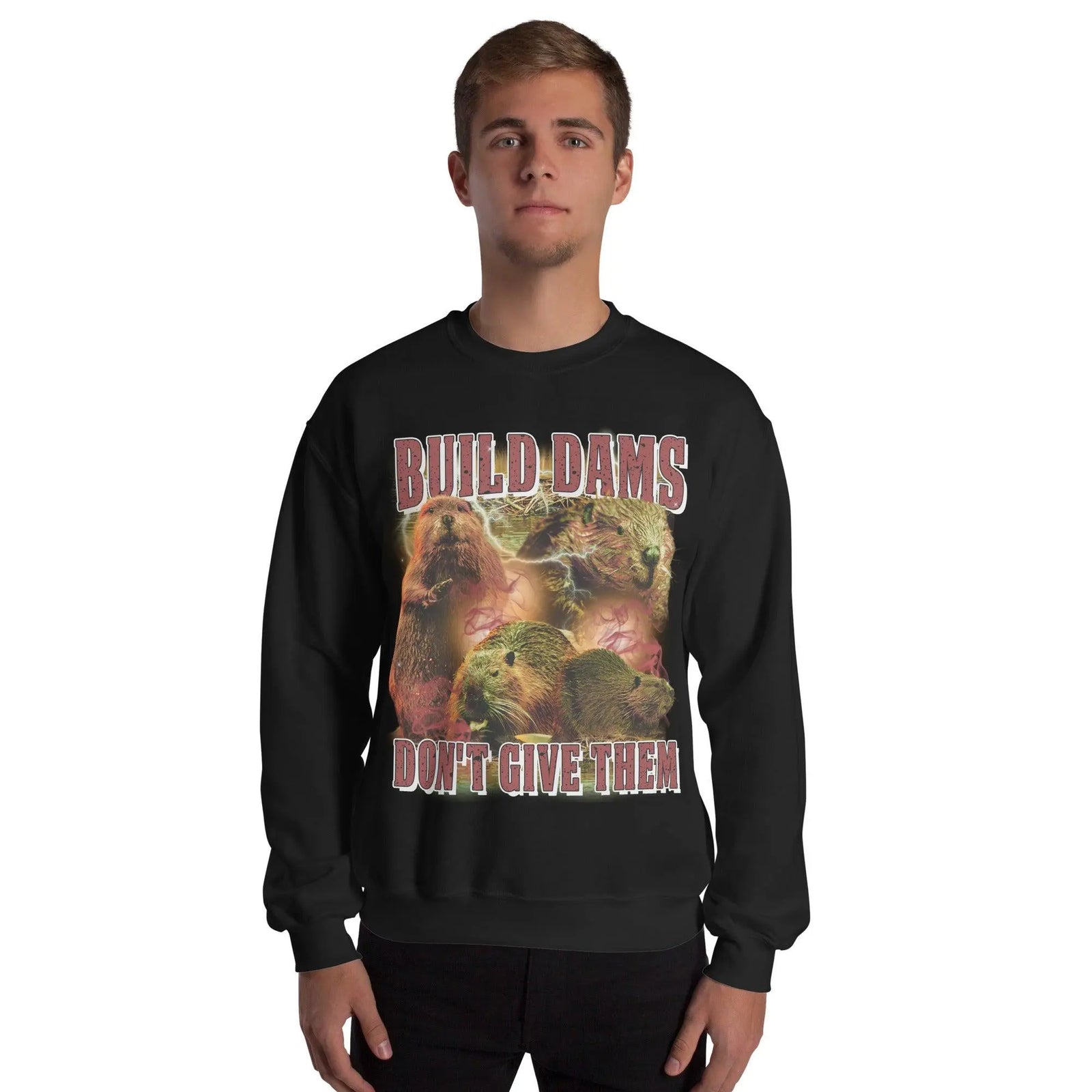 Build Dams Don't Give Them sweatshirt - Orbital Clothing