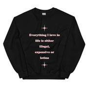 Everything I love in life is either illegal, expensive or latina sweatshirt