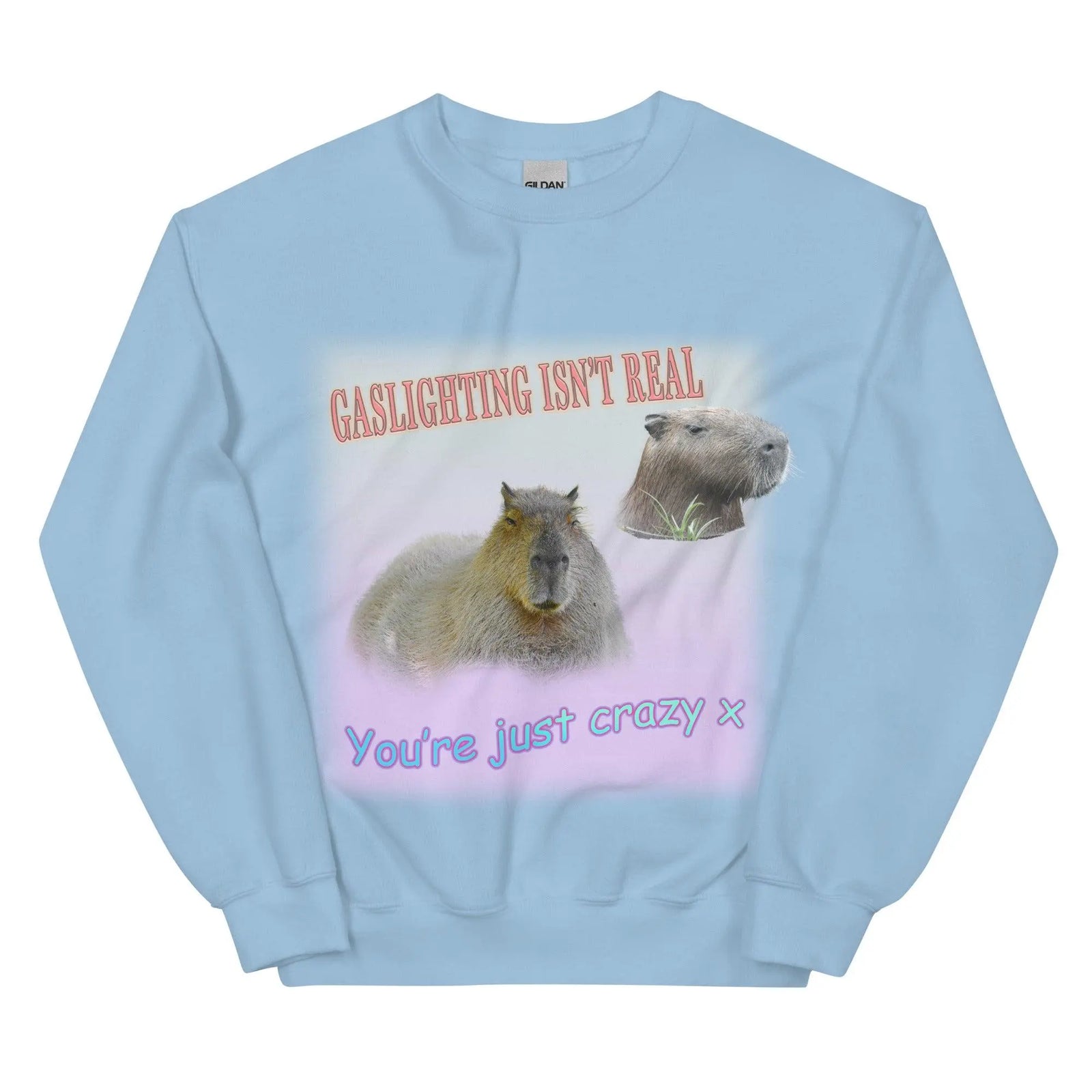 Gaslighting Isn't Real Sweatshirt - Orbital Clothing