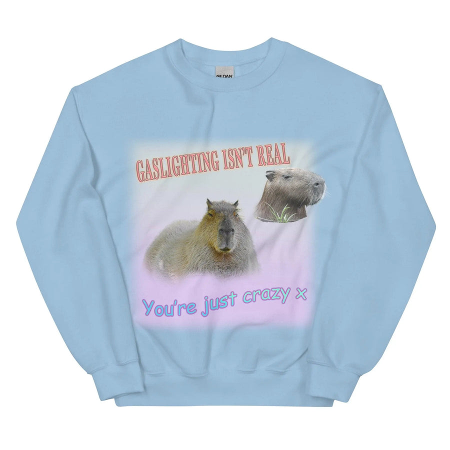 Gaslighting Isn't Real Sweatshirt - Orbital Clothing