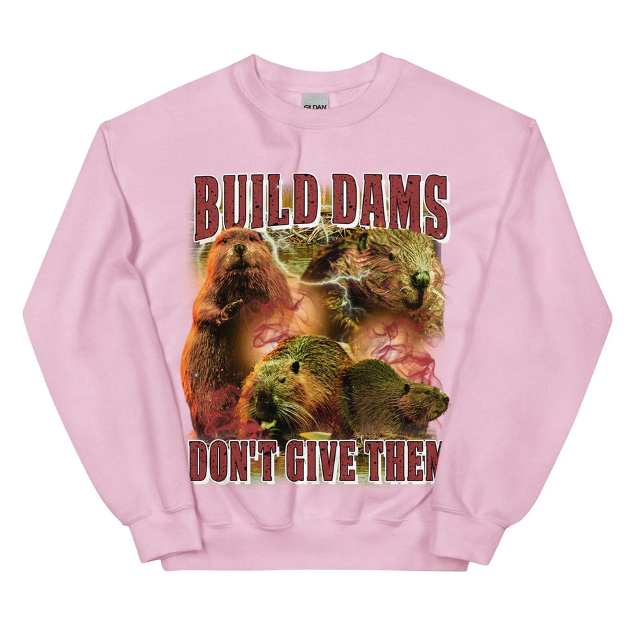 Build Dams Don't Give Them sweatshirt - Orbital Clothing