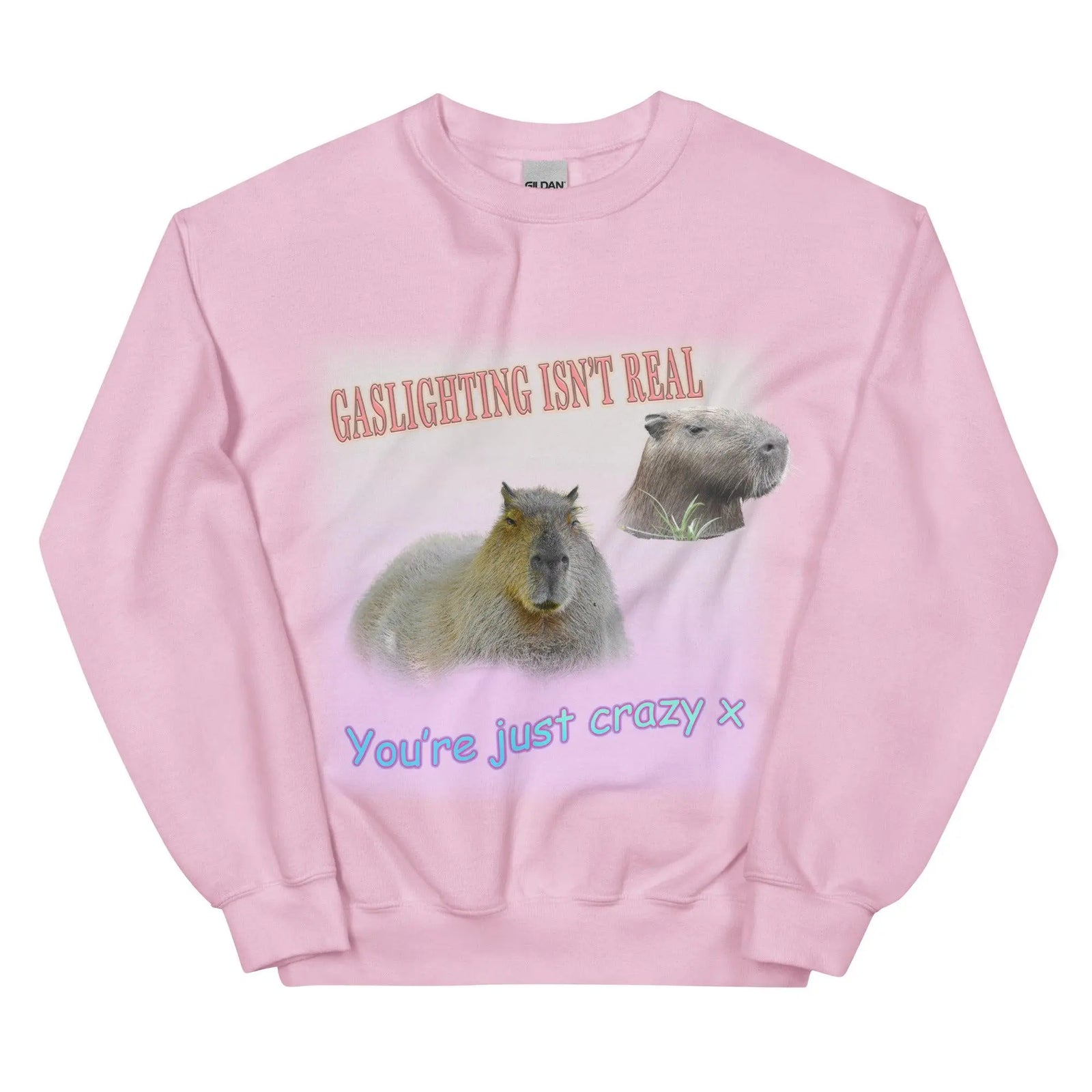 Gaslighting Isn't Real Sweatshirt - Orbital Clothing