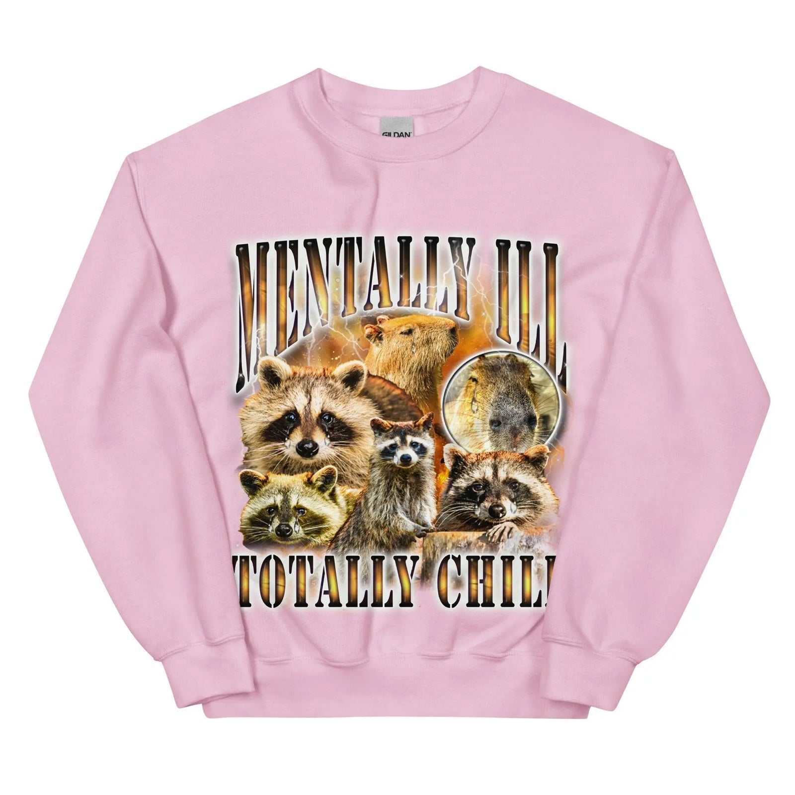 Mentally Ill Totally Chill Sweatshirt - Orbital Clothing