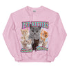 Pet Kitties Suck Titties Sweatshirt