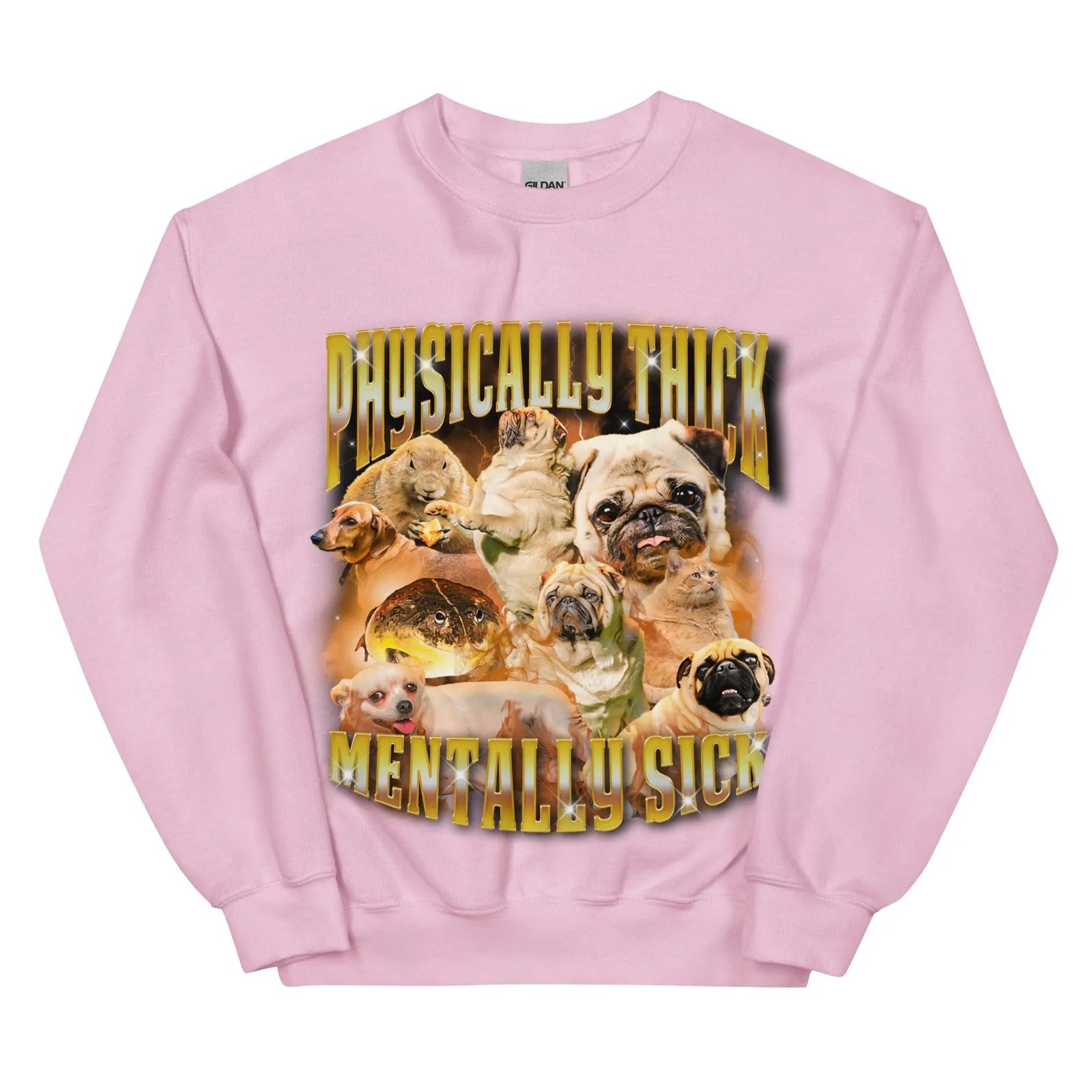Physically Thick Mentally Sick Sweatshirt - Orbital Clothing