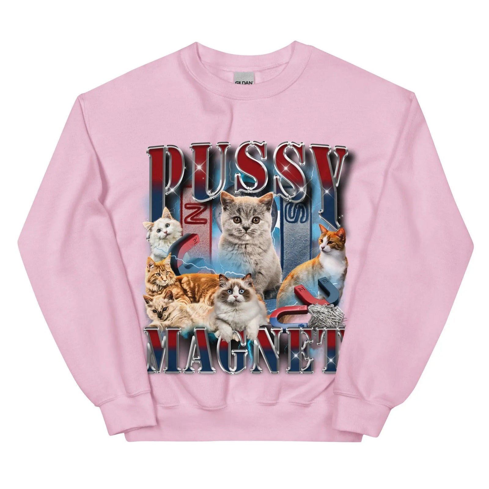 Pussy Magnet Sweatshirt - Orbital Clothing